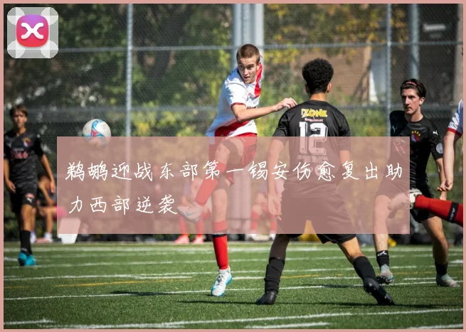 鹈鹕迎战东部第一锡安伤愈复出助力西部逆袭