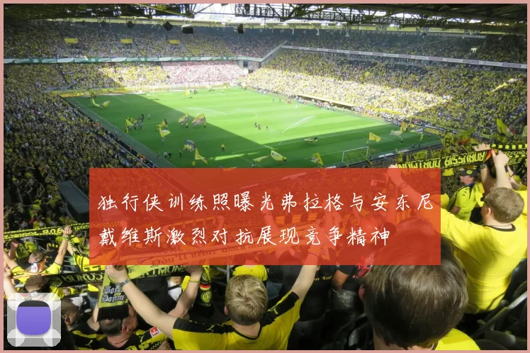 独行侠训练照曝光弗拉格与安东尼戴维斯激烈对抗展现竞争精神