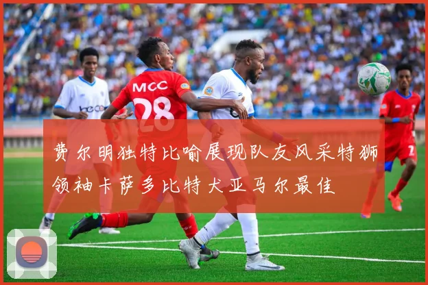 费尔明独特比喻展现队友风采特狮领袖卡萨多比特犬亚马尔最佳