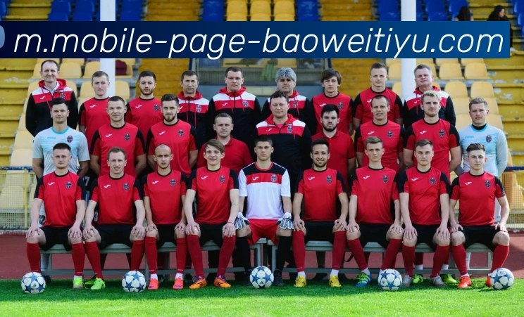 宝威体育平台生态图